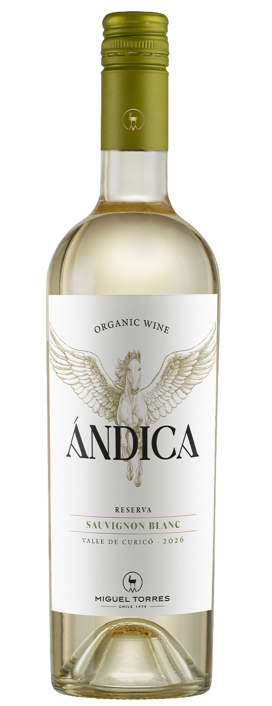 Sauvignon Blanc