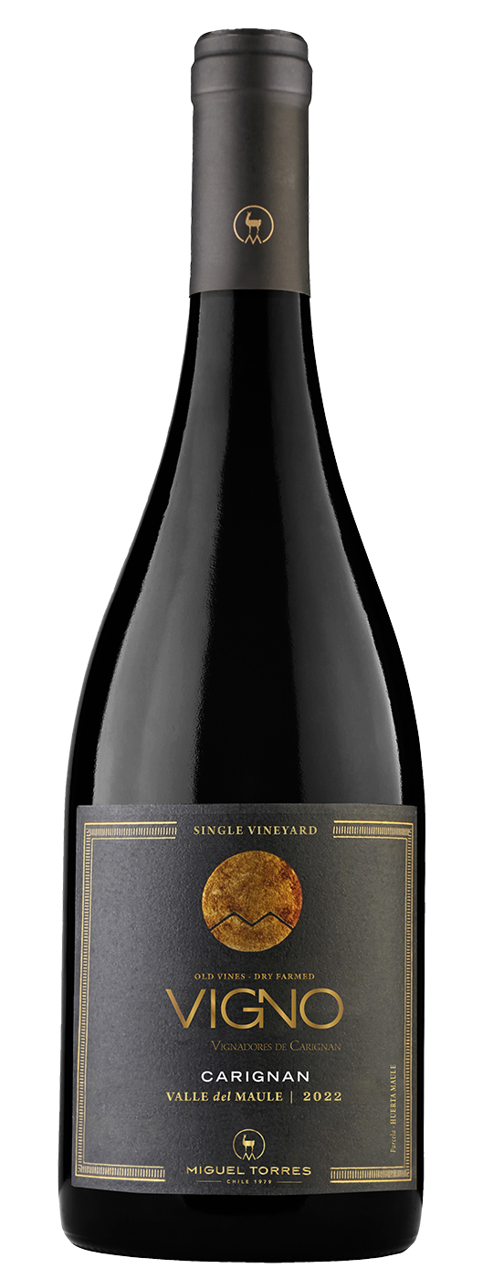 Vigno Carignan